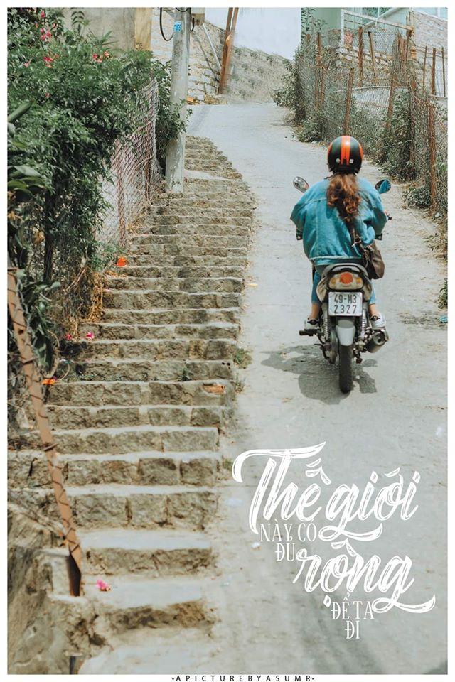 Định vị con dốc Đà Lạt tình hơn cả phim Hàn Quốc, vỏn vẹn 480m mà sống ảo cháy máy-1