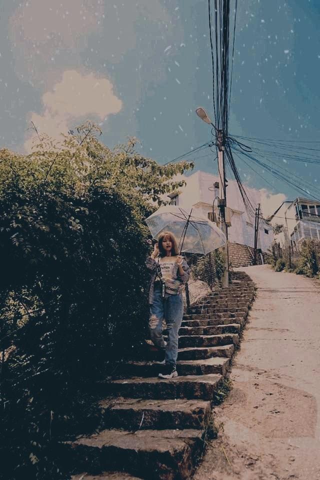 Định vị con dốc Đà Lạt tình hơn cả phim Hàn Quốc, vỏn vẹn 480m mà sống ảo cháy máy-8