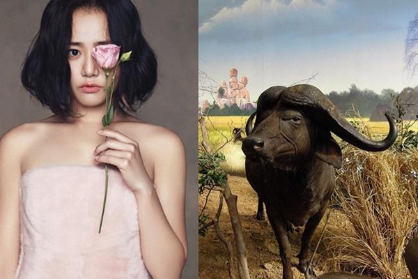 Dự đoán tình duyên, công việc của 12 con giáp chuẩn đét trong ngày 14/8/2020-7