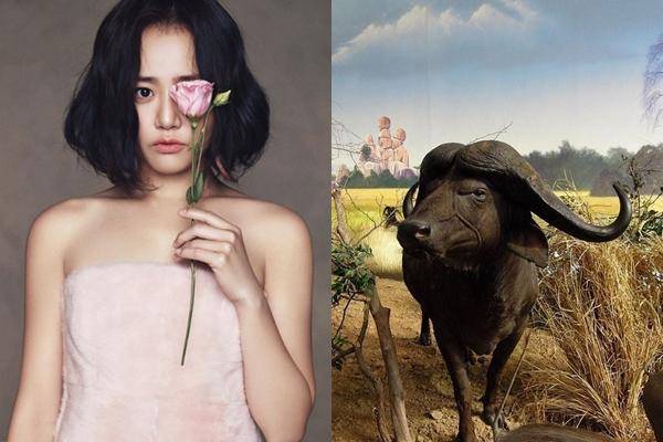 Từ giờ đến cuối năm, 4 con giáp yêu ai chia tay người đó, lận đận tình duyên hết chỗ nói-4