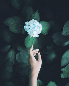 Dự đoán tình duyên, công việc của 12 con giáp chuẩn đét trong ngày 14/8/2020-5