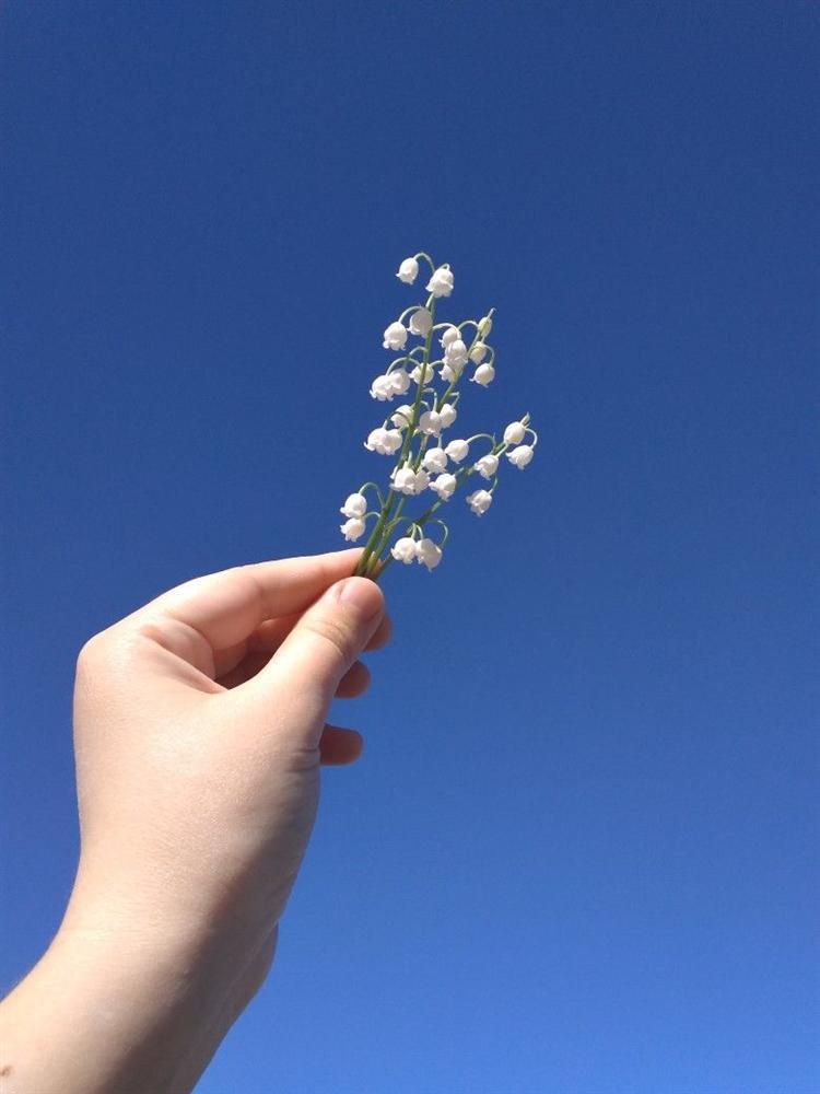 Dự đoán tình duyên, công việc của 12 con giáp chuẩn đét trong ngày 14/8/2020-6