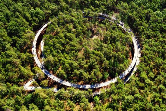 Con đường xoắn ốc ẩn giữa rừng cây ở Bỉ