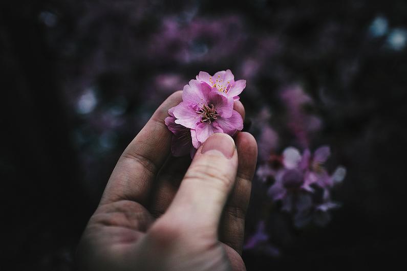 Tử vi thứ 7 ngày 15/8/2020 của 12 con giáp: Tý vượt qua khó khăn, Dần thành công ngoài mong đợi-4