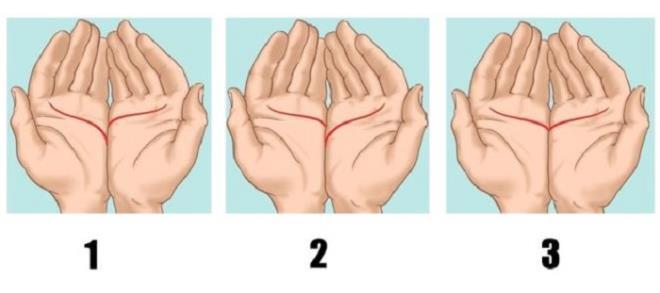 Đường chỉ tay tiết lộ điều gì về tình duyên tương lai của bạn?-1