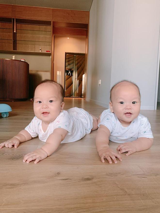 Hai bé Goku và Daino thích thú tập bò trong căn nhà rộng rãi, thoáng mát, sạch sẽ.