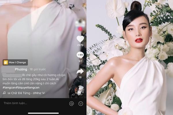 Á hậu Tú Anh bị shop online lợi dụng hình ảnh bán cốc nguyệt san-4