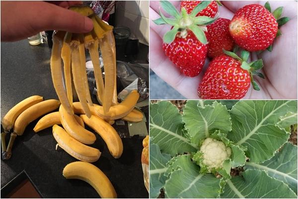 4 thực phẩm không nên cho vào tủ lạnh, tưởng kéo dài tuổi thọ nhưng lại thành đồ bỏ đi-5