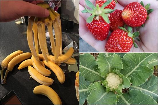 Choáng với những phần tưởng như vứt đi của thực phẩm lại có thể chế biến thành '7749' món ngon chẳng ngờ