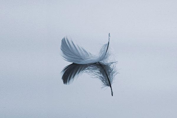 Càng rơi vào nghịch cảnh, các chòm sao sau càng tĩnh lặng để bảo vệ tối đa quyền lợi của mình-3