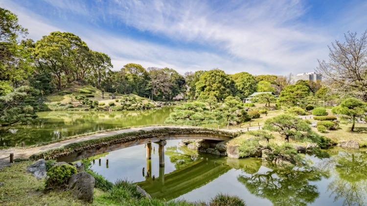 Những công viên đẹp nhất thủ đô Tokyo-4