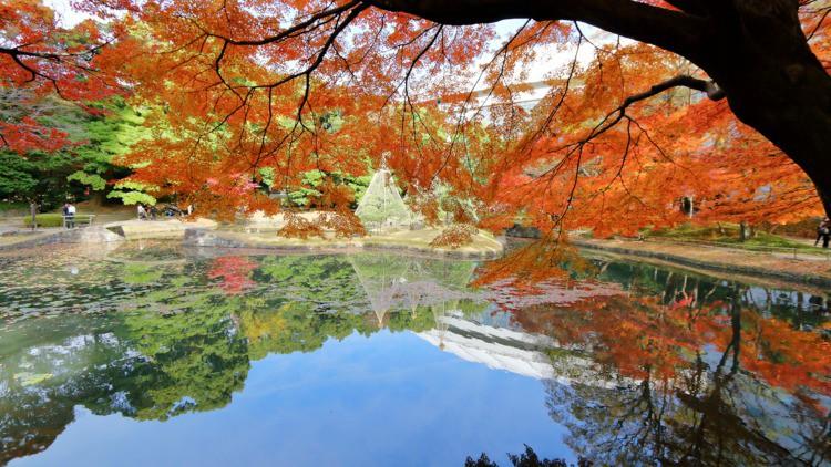 Những công viên đẹp nhất thủ đô Tokyo-6