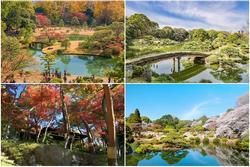 Những công viên đẹp nhất thủ đô Tokyo