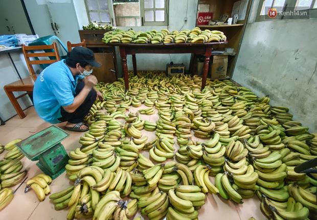 Người Sài Gòn góp cả chục tấn rau củ cùng hàng tỷ đồng, cứu đói bầy thú ở Thảo Cầm Viên trong mùa dịch Covid-19-4