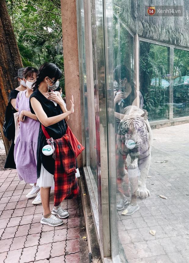 Người Sài Gòn góp cả chục tấn rau củ cùng hàng tỷ đồng, cứu đói bầy thú ở Thảo Cầm Viên trong mùa dịch Covid-19-12