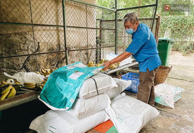 Người Sài Gòn góp cả chục tấn rau củ cùng hàng tỷ đồng, cứu đói bầy thú ở Thảo Cầm Viên trong mùa dịch Covid-19-8