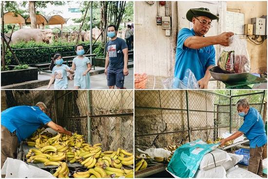 Người Sài Gòn góp cả chục tấn rau củ cùng hàng tỷ đồng, cứu đói bầy thú ở Thảo Cầm Viên trong mùa dịch Covid-19