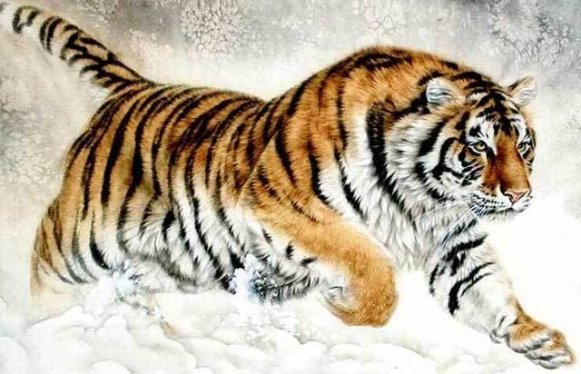 Cuối năm Canh Tý, đây chính là 3 con giáp thoát nghèo, phất lên như diều gặp gió-1