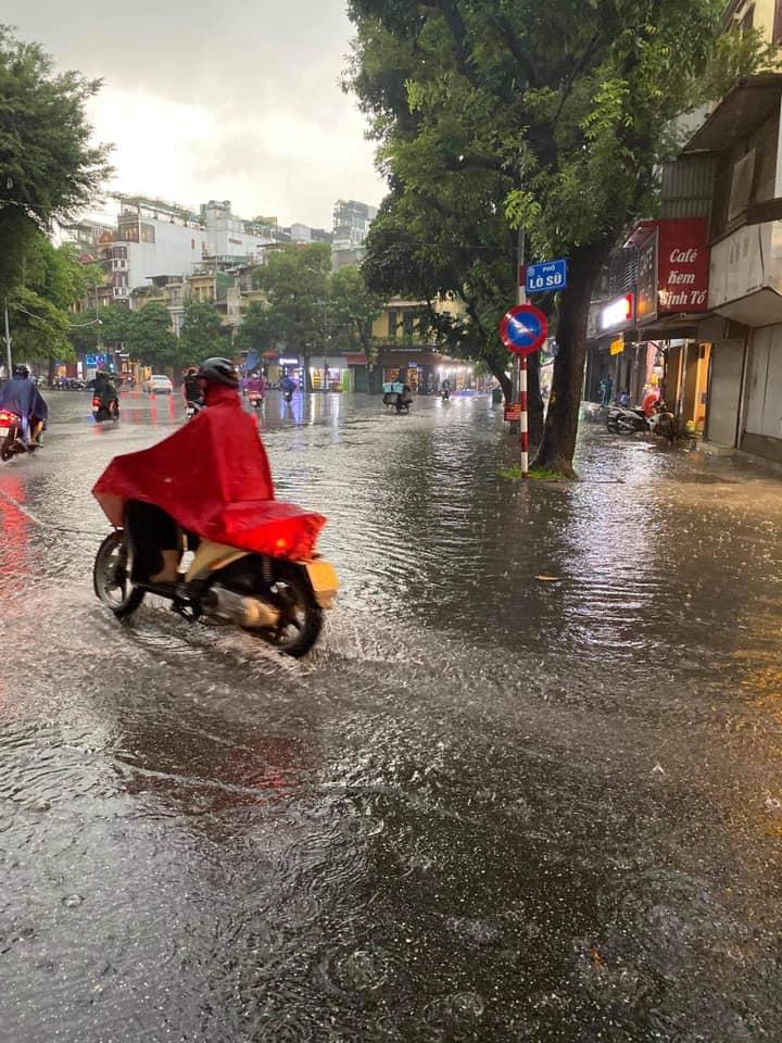 Trung tâm Hà Nội ngập lụt, đôn hoa nổi bềnh phềnh như lục bình vì mưa lớn-6