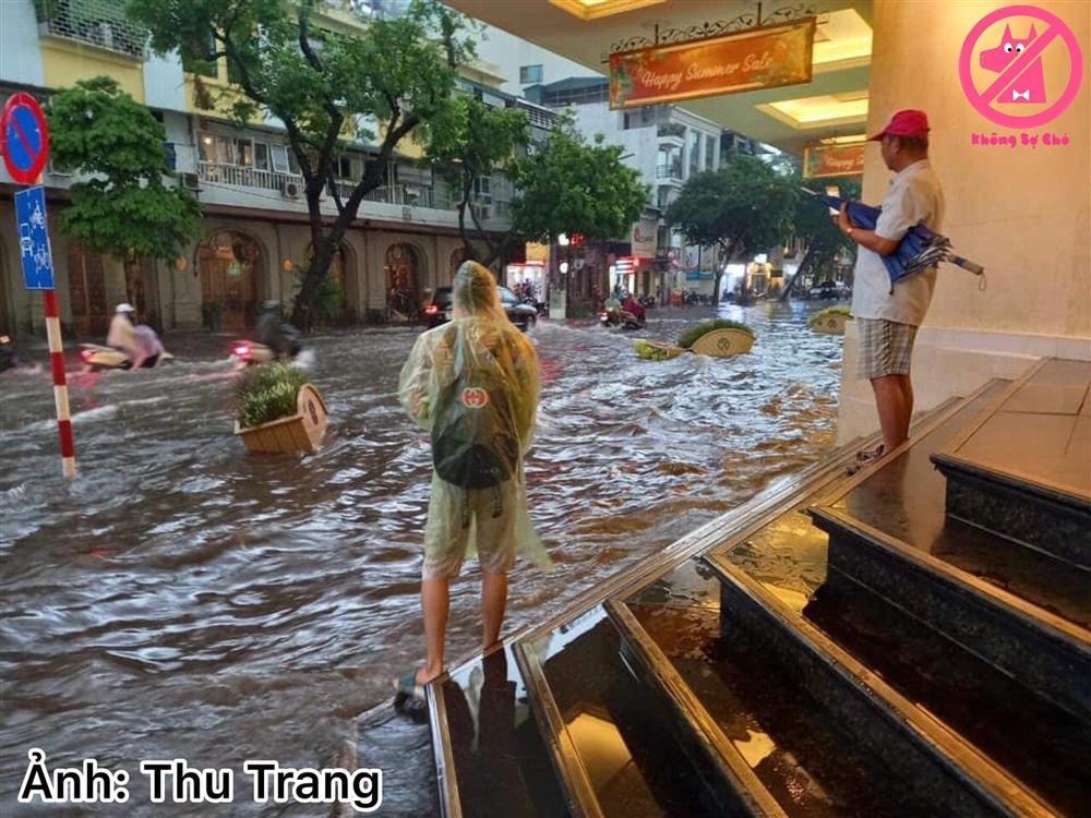 Trung tâm Hà Nội ngập lụt, đôn hoa nổi bềnh phềnh như lục bình vì mưa lớn-12