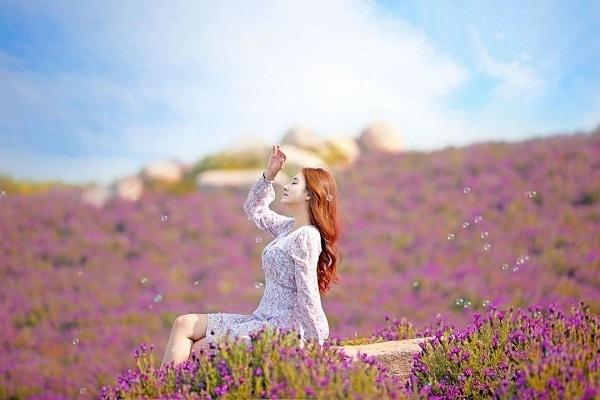 Hòn đảo tím lịm đúng trend năm nay ở Hàn Quốc đang được giới trẻ thi nhau check-in-5