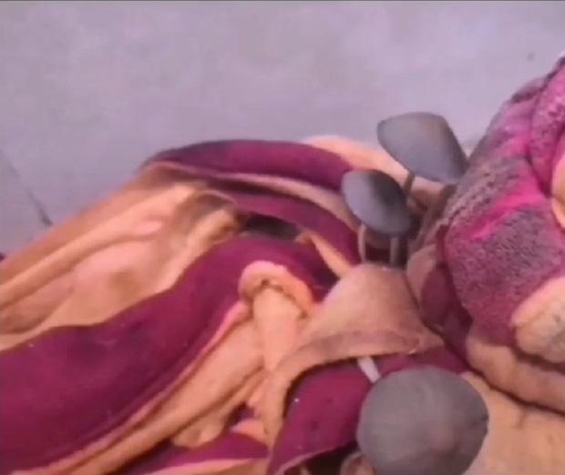 Ám ảnh cảnh bẩn thỉu ký túc xá sau mùa dịch: Chuột làm thành tổ, cây mọc hàng mét-2