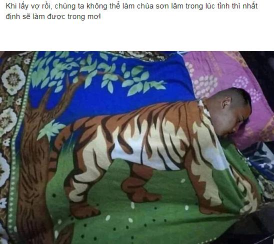 Lấy vợ rồi không được làm chúa sơn lâm, anh chồng quyết tậu chăn hổ để khẳng định bản lĩnh-1