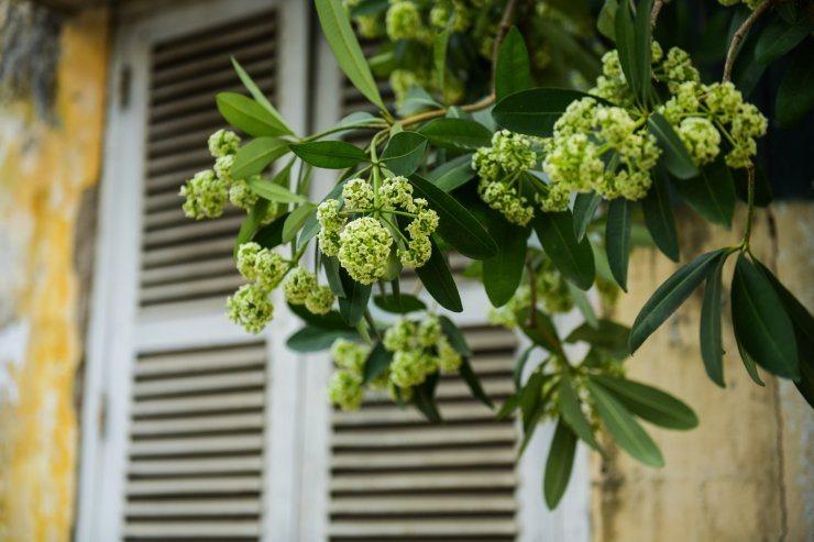 Lịch trình xuyên đêm chinh phục thủ đô thú vị chưa từng thấy, thật tiếc nếu không thử-2