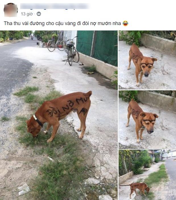 Tha thu vài đường cho cậu Vàng đòi nợ thuê, dân mạng vừa liếc đã phán: Tấu hài cho đứa vay tiền thì đúng hơn-1