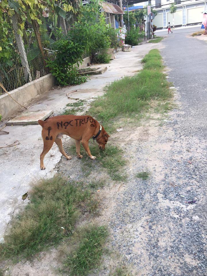 Tha thu vài đường cho cậu Vàng đòi nợ thuê, dân mạng vừa liếc đã phán: Tấu hài cho đứa vay tiền thì đúng hơn-3