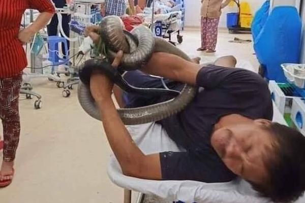 ƠN GIỜI, người đàn ông bị hổ mang chúa cắn đã vượt qua cửa tử-2