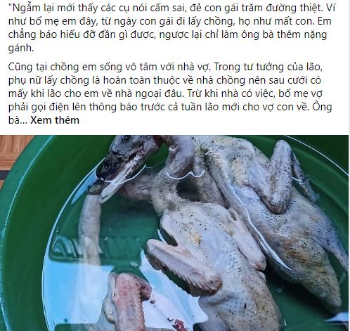 Bố mẹ vợ gửi cho 3 con vịt, chồng bĩu môi lần sau đồ tử tế mới nhận và lời đáp của vợ lại khiến anh ngượng chín mặt-1