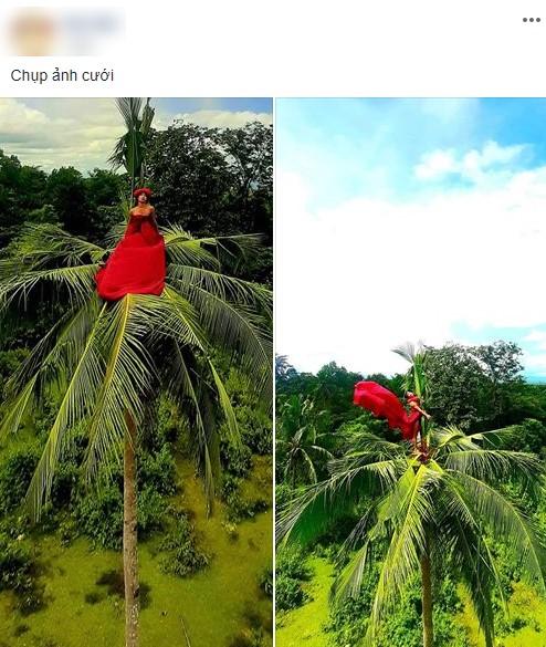 Chụp ảnh cưới trong studio xưa rồi, ngồi lên tận ngọn cây dừa cao chót vót thế này mới là bá đạo-1