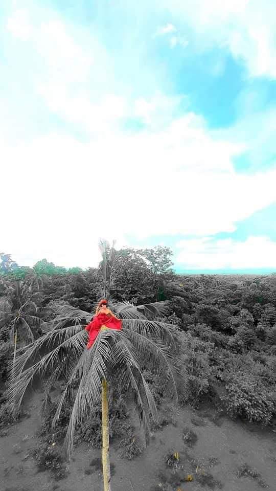 Chụp ảnh cưới trong studio xưa rồi, ngồi lên tận ngọn cây dừa cao chót vót thế này mới là bá đạo-4