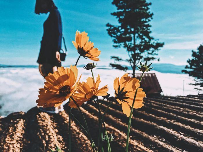 Tuổi Tý cẩn thận tiểu nhân chơi xấu, Dần đừng quá kiêu ngạo trong ngày cuối tuần-1