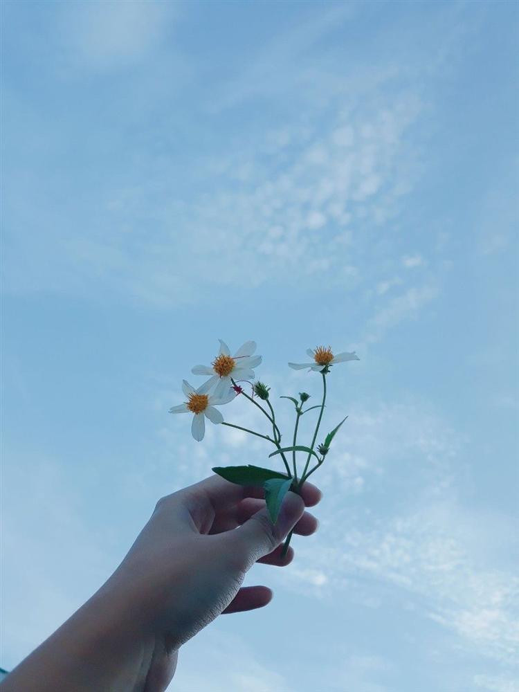 Tuổi Tý cẩn thận tiểu nhân chơi xấu, Dần đừng quá kiêu ngạo trong ngày cuối tuần-6