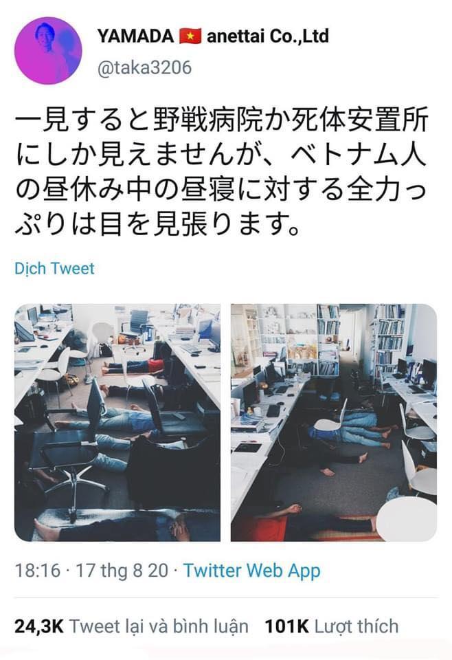 MXH xôn xao khi người Nhật tweet thói quen ngủ trưa của người Việt: Như nhà xác-1