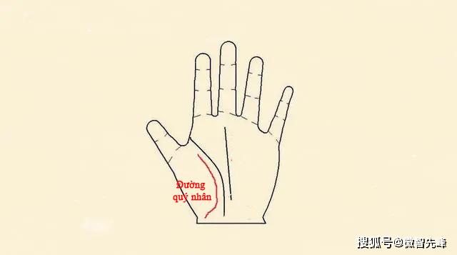 Quý cô sở hữu bàn tay này, cả đời ấm no sung túc, giỏi kiếm tiền, cuộc sống hậu vận rất giàu-1