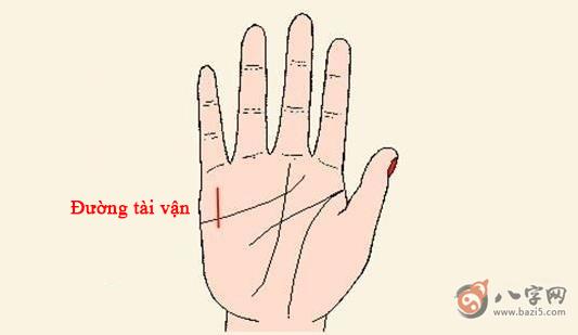 Quý cô sở hữu bàn tay này, cả đời ấm no sung túc, giỏi kiếm tiền, cuộc sống hậu vận rất giàu-2