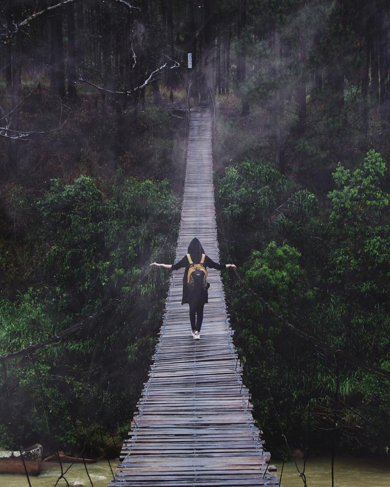 Nếu thích những tấm ảnh ma mị, 5 nơi này tại Đà Lạt sẽ giúp bạn đạt ý nguyện-15