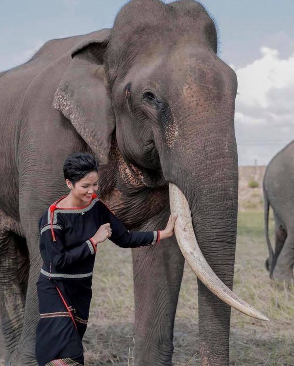 Ủ tóc bằng dầu là xưa rồi, HHen Niê dùng luôn cả quả bưởi như thế này đây!-9