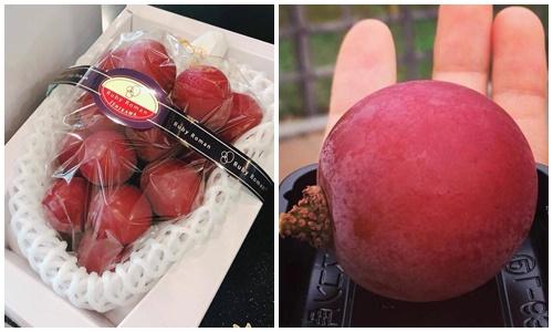 Trấn Thành ăn nho 11 triệu đã là gì, đây là 5 loại quả phải tiền núi mới được nếm thử-2