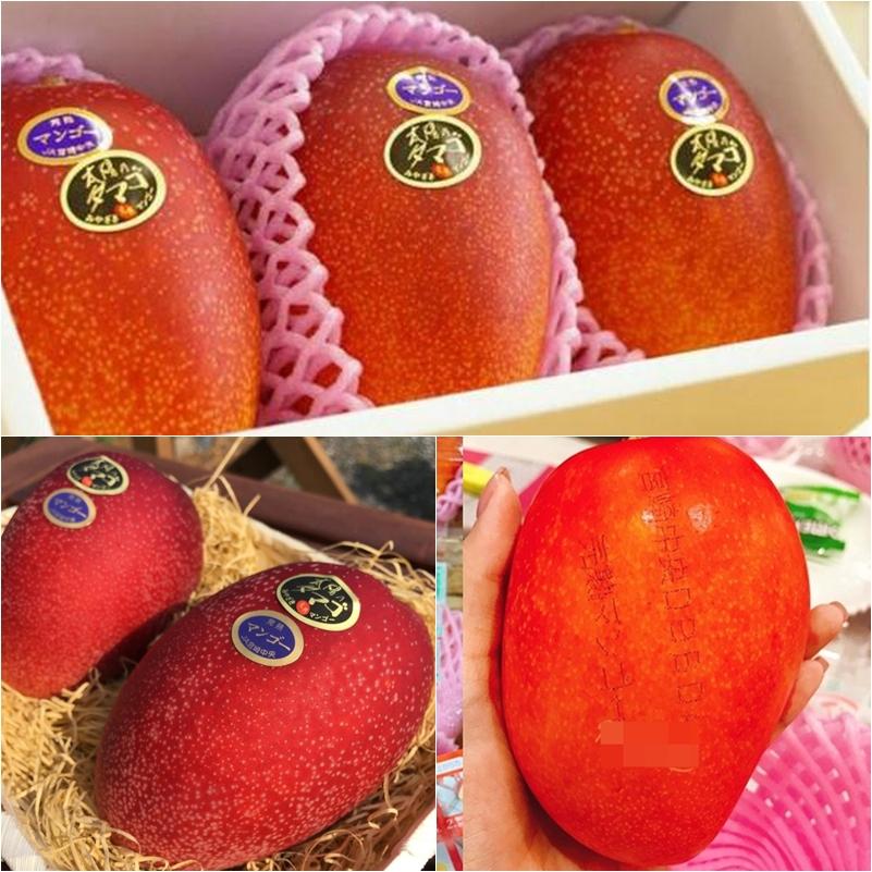 Trấn Thành ăn nho 11 triệu đã là gì, đây là 5 loại quả phải tiền núi mới được nếm thử-3