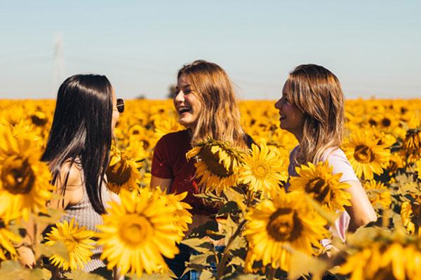 Bước vào tháng Xử Nữ, 12 chòm sao dễ dàng đạt mục tiêu cá nhân hơn bao giờ hết-1