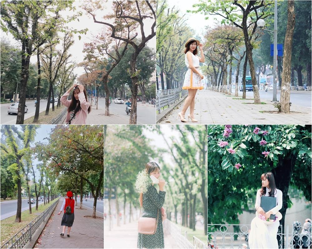Cần gì đi đâu xa, Hà Nội có 5 con đường hiện lên thật đẹp khiến hội sống ảo ngất ngây-3