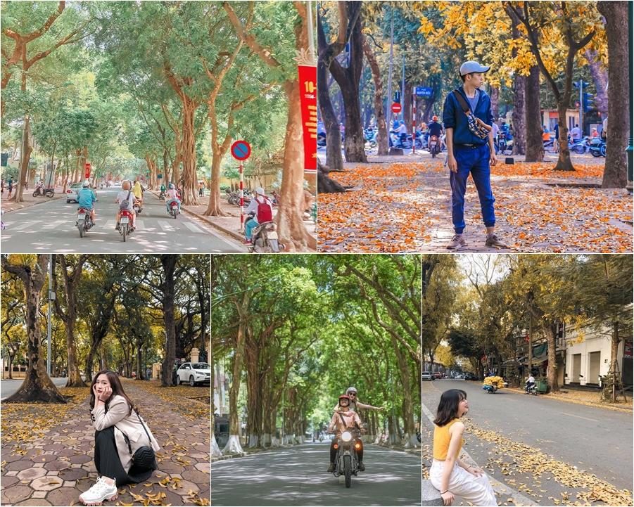 Cần gì đi đâu xa, Hà Nội có 5 con đường hiện lên thật đẹp khiến hội sống ảo ngất ngây-1