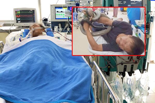 Clip: Cuộc chiến sống còn của rắn hổ mang và cầy mangut-1