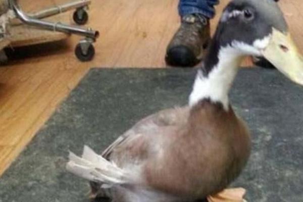 4 món ăn độc ác trong lịch sử Trung Quốc, nghe cách làm thôi đã thấy khó thở, đau tim-1