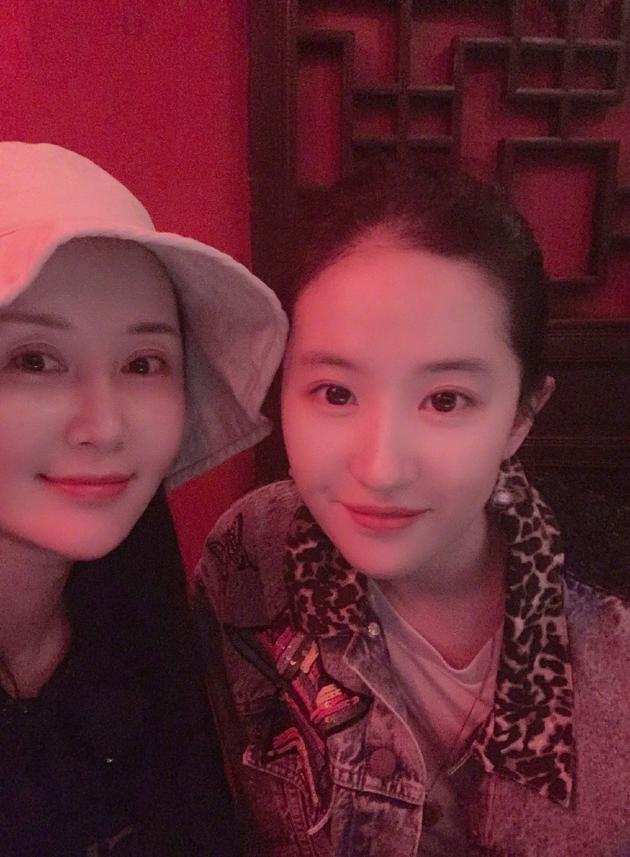 Gia tộc kim phấn Lưu Diệc Phi - Thư Sướng đọ sắc bất phân thắng bại-1