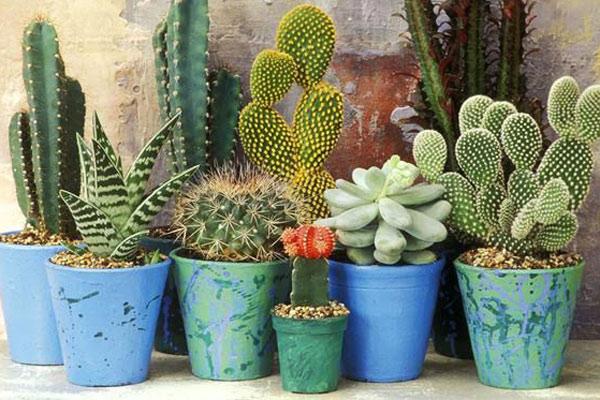 Đúng Lễ Thất tịch, 3 con giáp tiền đầy túi, tình đầy tim, ai cũng ngưỡng mộ-4